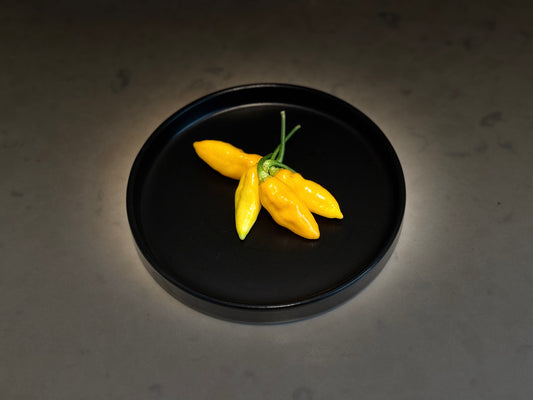 Datil Pepper Seeds
