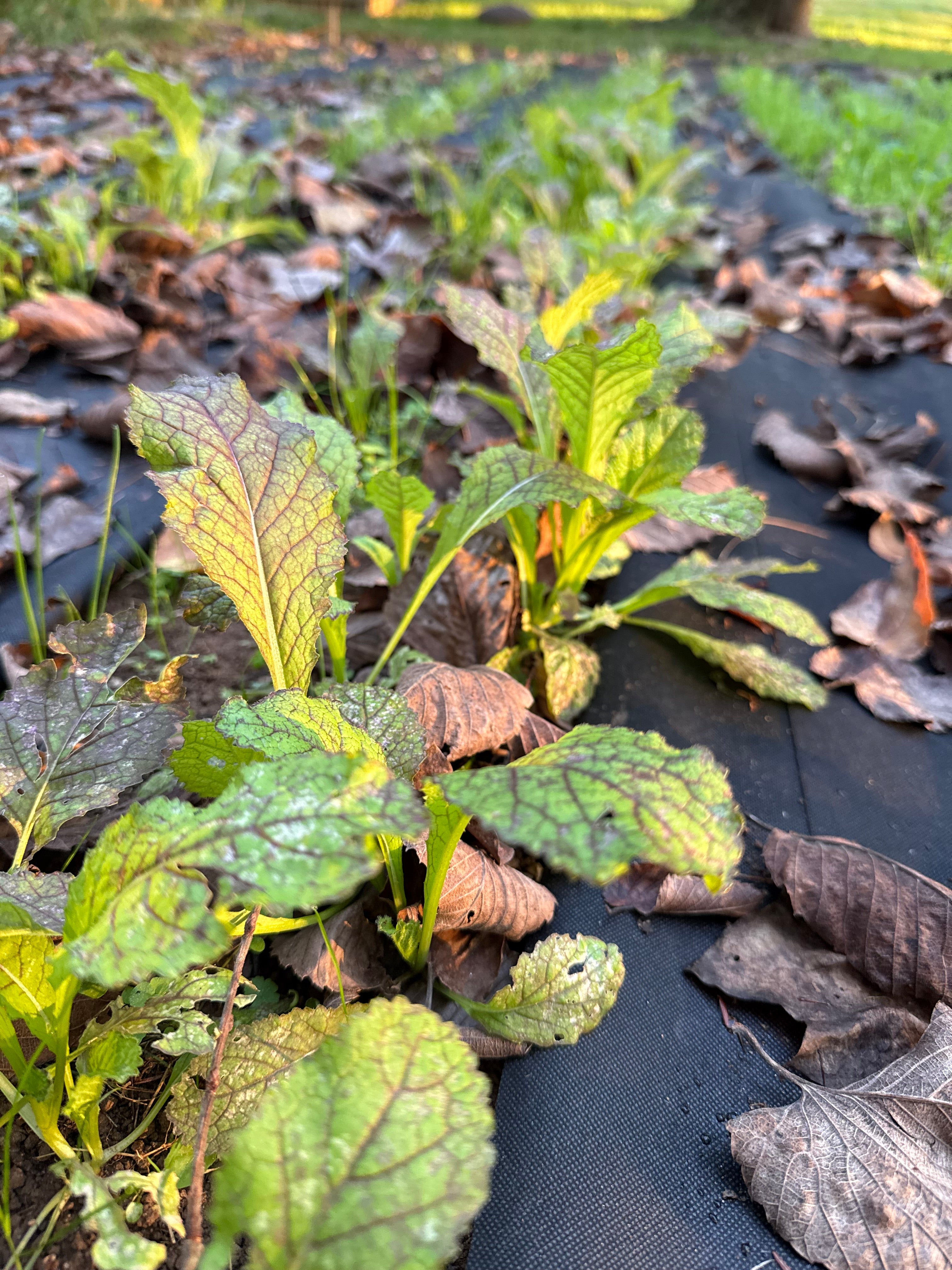 slider image 1621243260e1af0c20-2